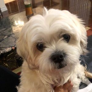 Meet your Posher, Linh